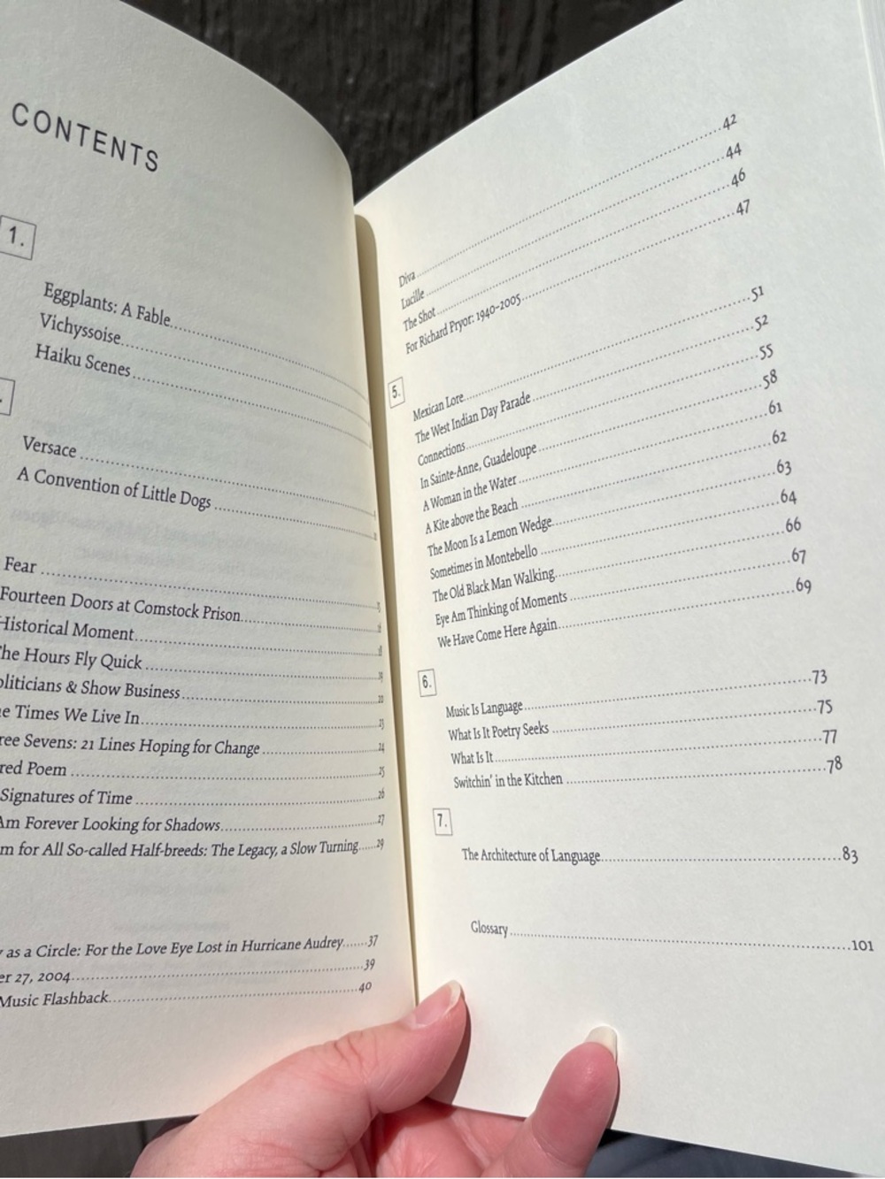 The Architecture of Language Poems by Quincy Troupe TPB 1st printing 1st edition - Picture 13 of 14